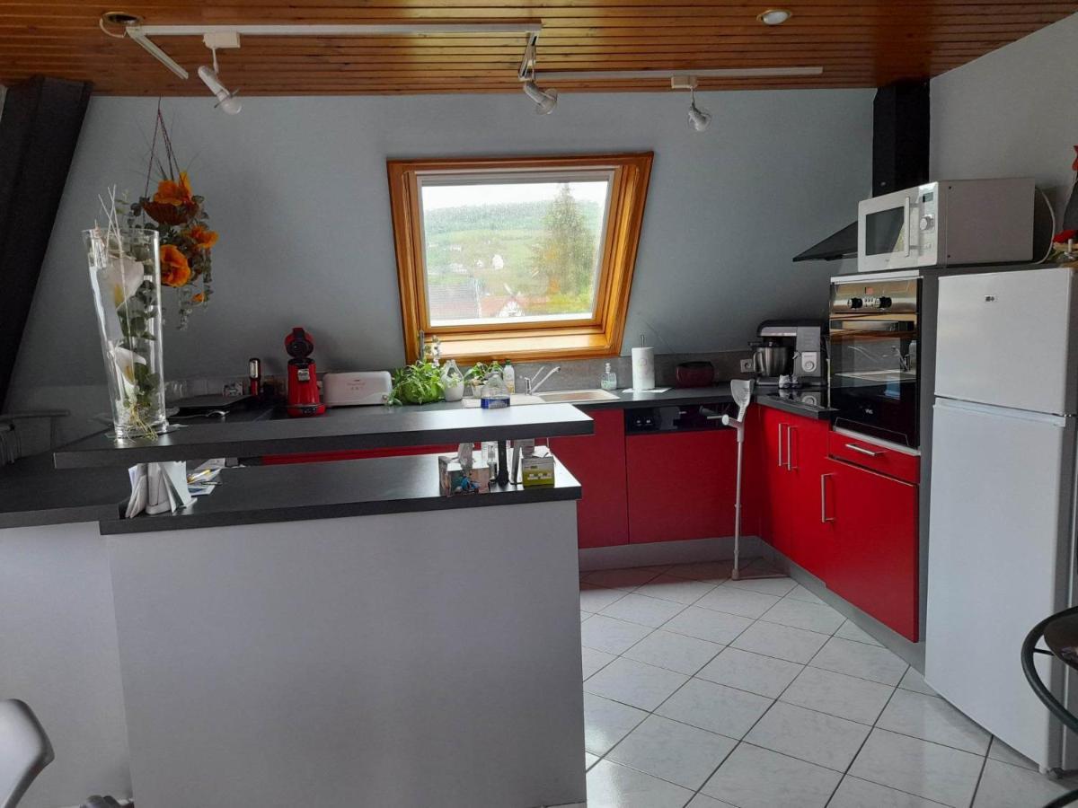 Gite Le Jardin De Hermolsheim. Alsace Tres Spacieux Mutzig Exterior photo