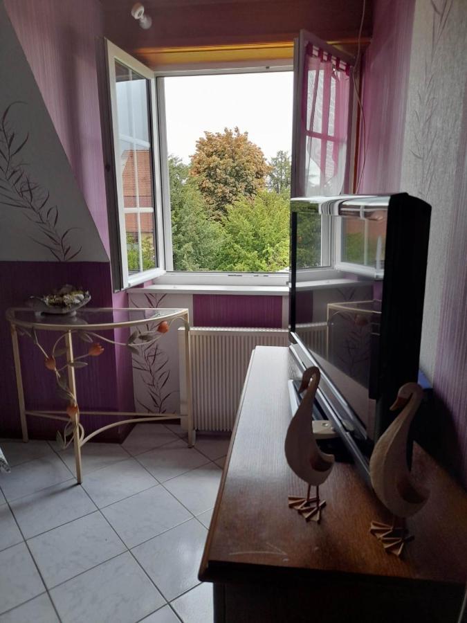 Gite Le Jardin De Hermolsheim. Alsace Tres Spacieux Mutzig Exterior photo