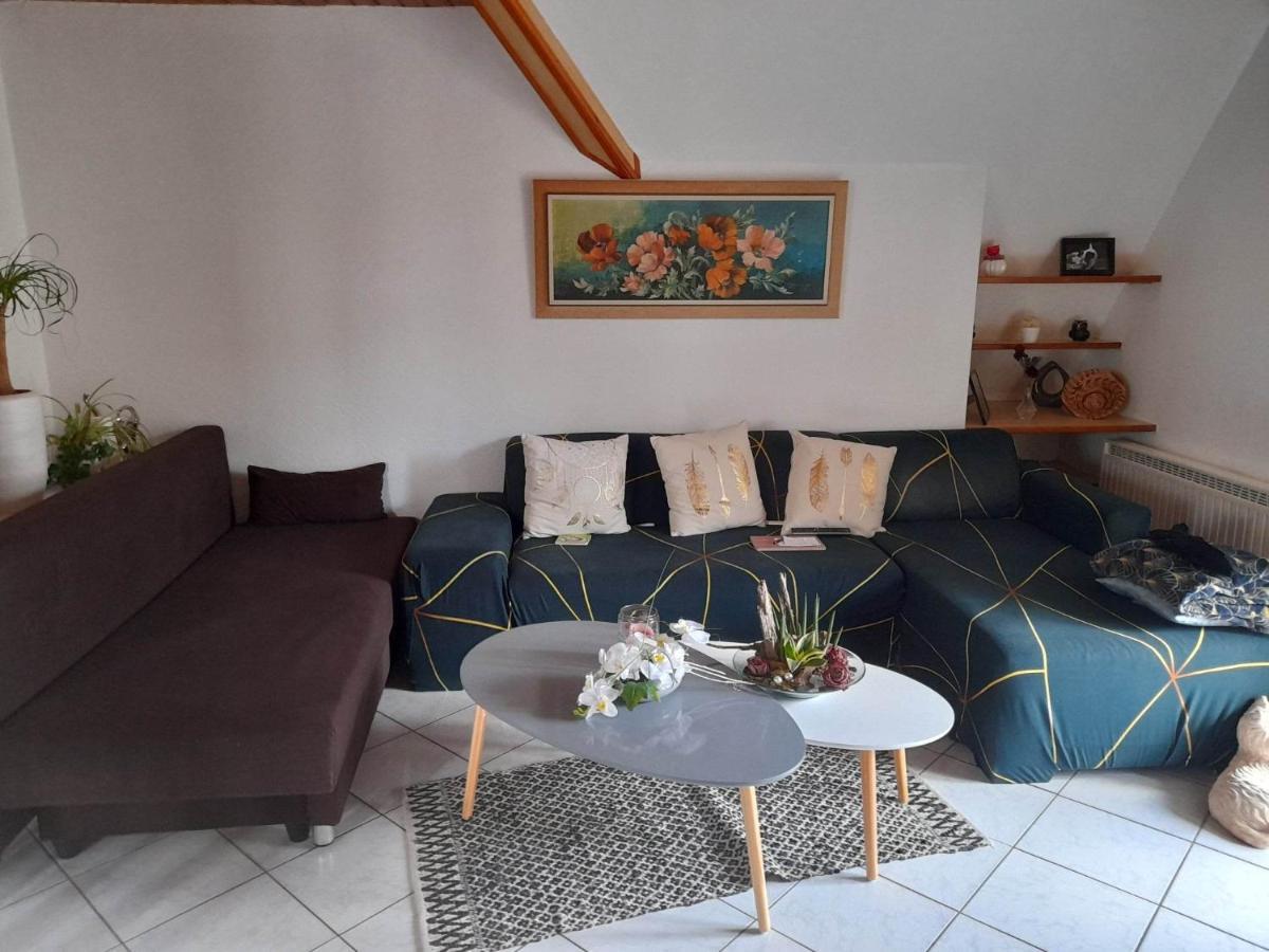 Gite Le Jardin De Hermolsheim. Alsace Tres Spacieux Mutzig Exterior photo